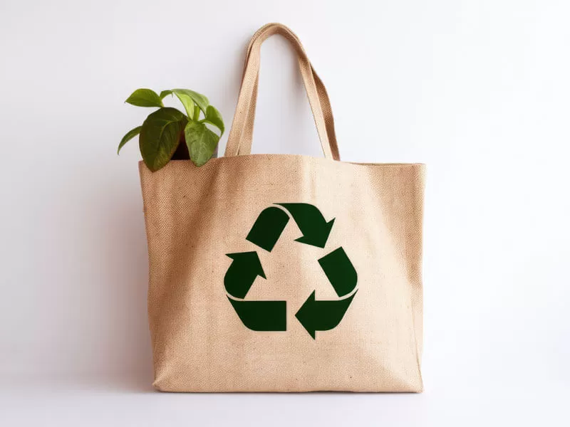Reusable Bags