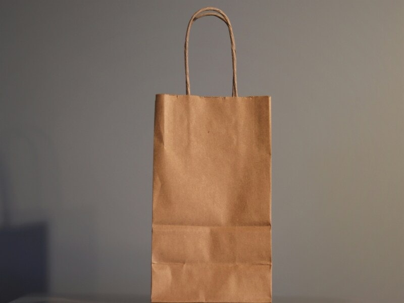 Brown paper lunch bag